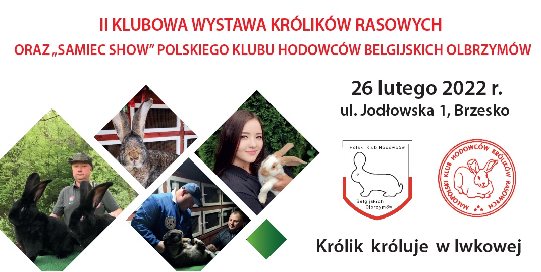 „SAMIEC SHOW” POLSKIEGO KLUBU HODOWCÓW BELGIJSKICH OLBRZYMÓW