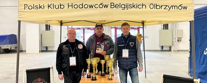 Polski Klub Hodowców Belgijskich Olbrzymów
